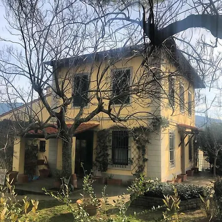 Independent Loft On Florence's Hills