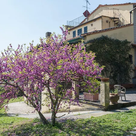 Independent Loft On Florence's Hills Отель типа 