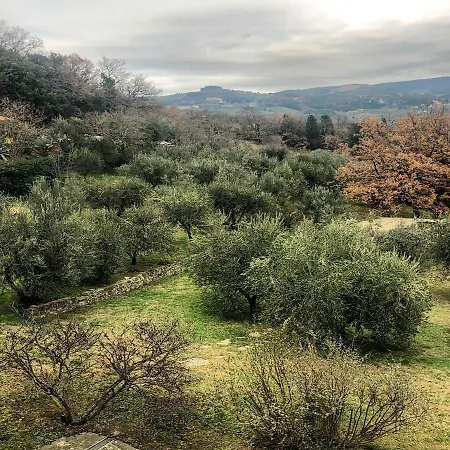 Independent Loft On Florence's Hills